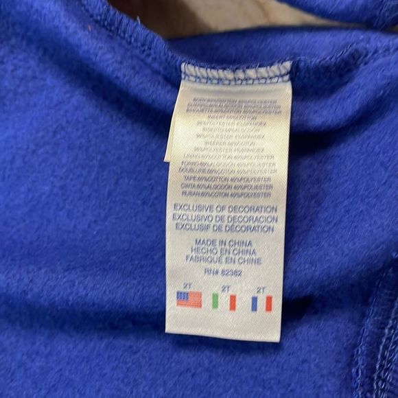 Champion Toddler Boys Signature Fleece Hoodie Size 2T - Picture 7 of 12